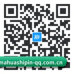安卓抗崩溃专版 二维码